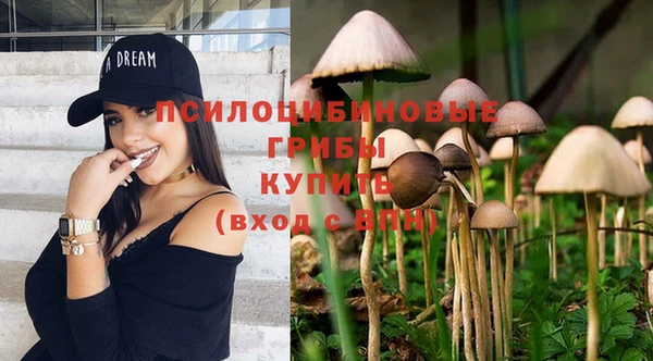 МДПВ Алексин