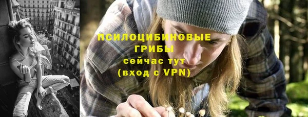 МДПВ Алексин