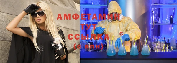 прущие грибы Алзамай