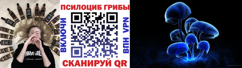 Галлюциногенные грибы прущие грибы блэк спрут как зайти Зубцов